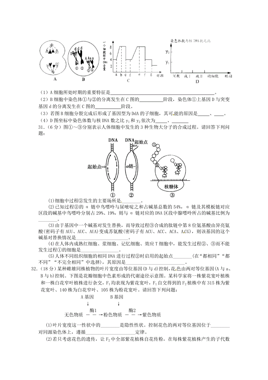 四川大学附中2016届高三上学期第一次理综测试生物试题 WORD版含答案.doc_第3页