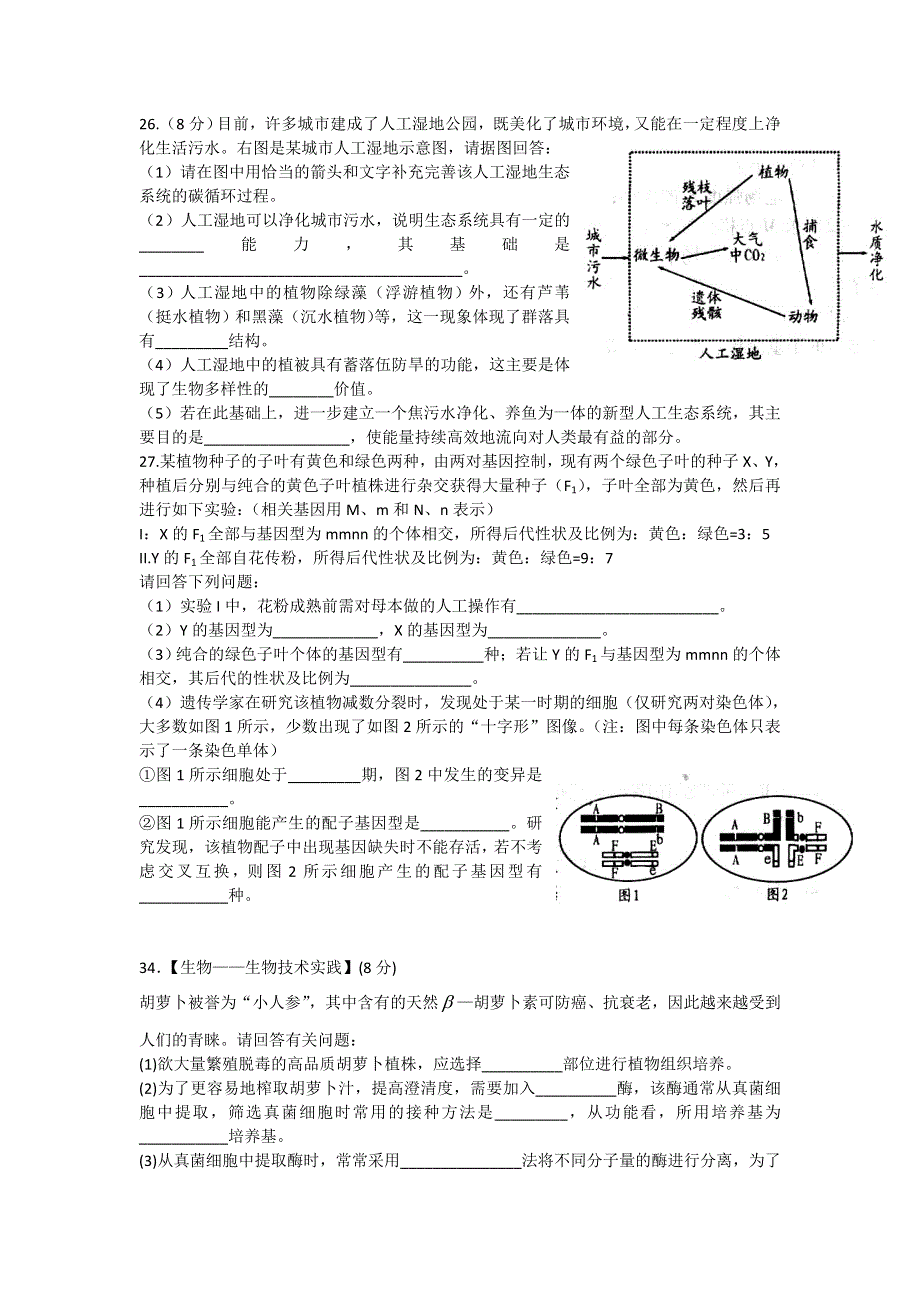 《2013潍坊三模A卷》山东省潍坊市2013届高三第三次模拟考试 理综生物 WORD版含答案.doc_第3页