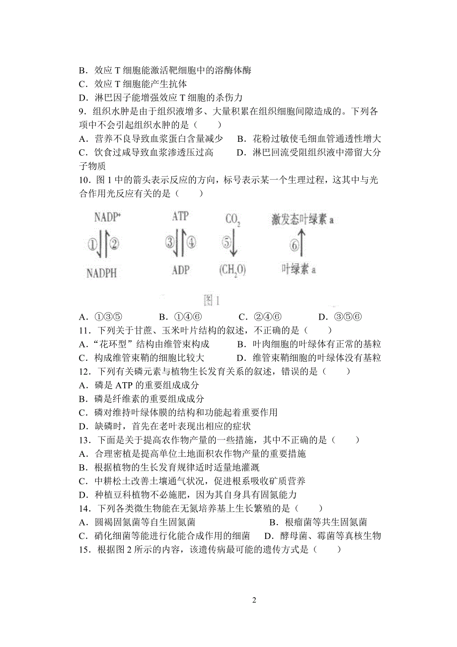 2005年海淀区高三年级第一学期期中练习生物.doc_第2页