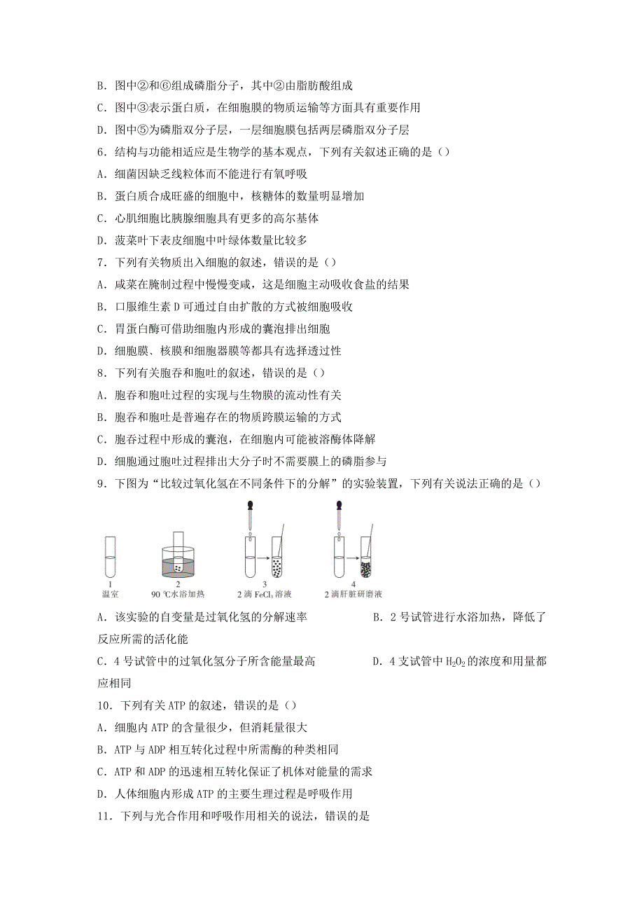 云南省临沧市云县2021-2022学年高一生物下学期期中试题（含解析）.docx_第2页