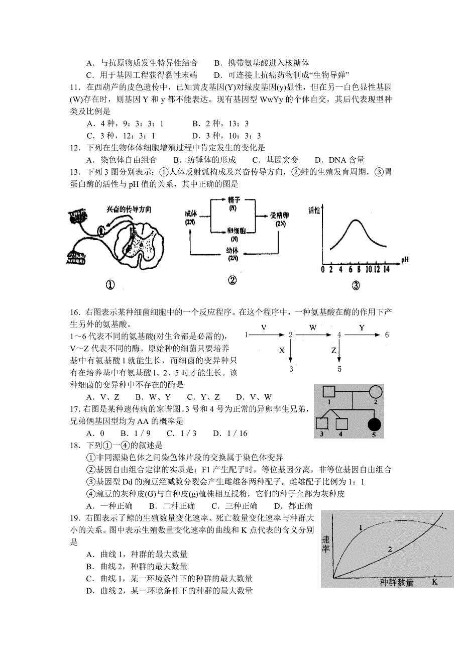 2005年苏、锡、常镇四市高三教学情况调查（一）生物.doc_第2页