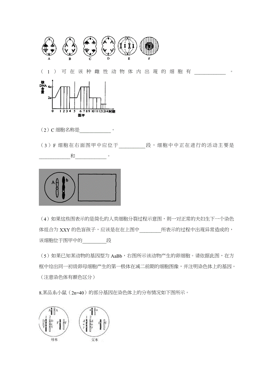 云南省丽江市宁蒗一中2018届高三教学质量检测（五）生物试题 WORD版含答案.docx_第3页