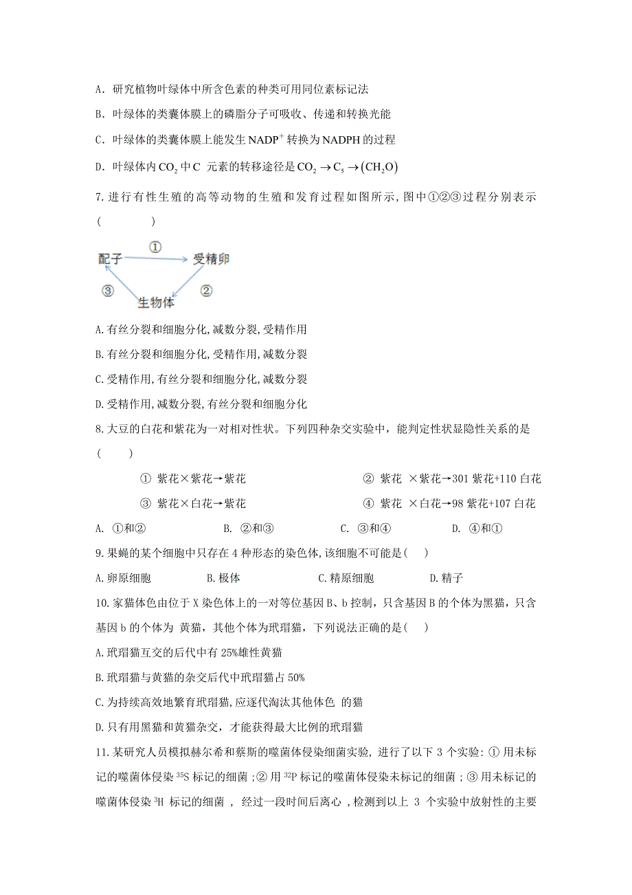 云南省丽江市第一高级中学2020-2021学年高二生物上学期期中试题.doc_第2页