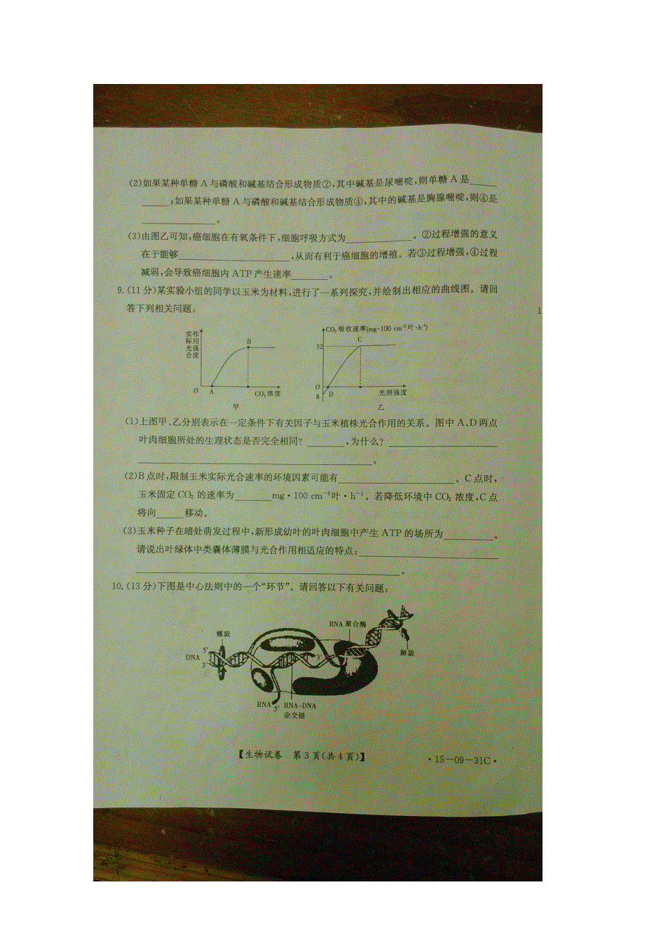 四川省2015届高三12月阶段性统一考试 生物 扫描版含答案.doc_第3页