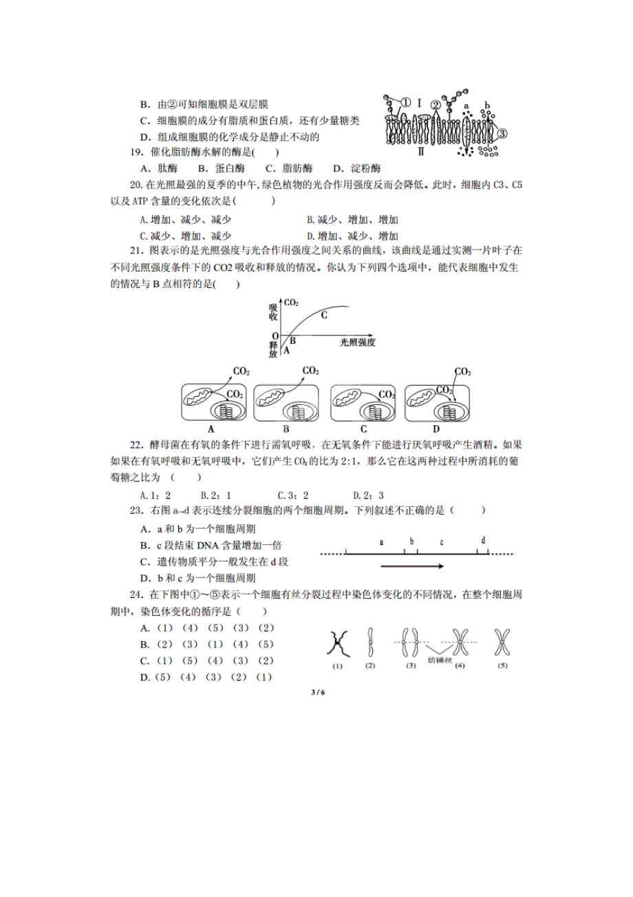 云南省云县第一完全中学2013-2014学年高一下学期第一次月考生物试题 扫描版无答案.doc_第3页