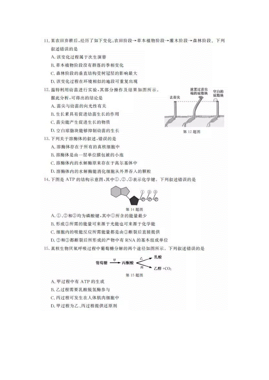 2019年1月浙江省普通高校招生学考科目考试生物试题 图片版含答案.docx_第2页