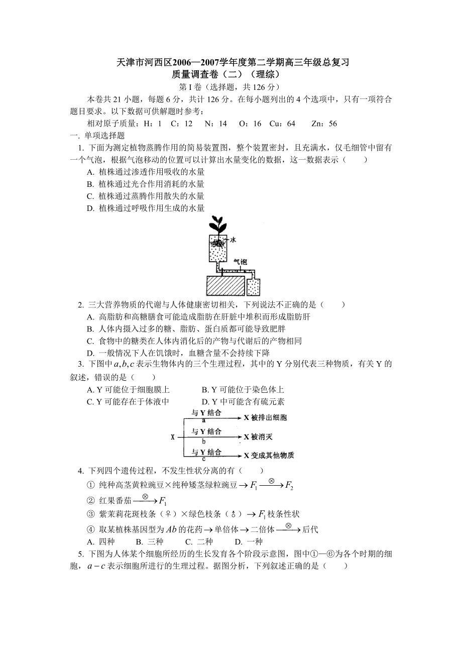 2006—2007学年度天津市河西区高三年级第二学期总复习质量调查理综卷.doc_第1页