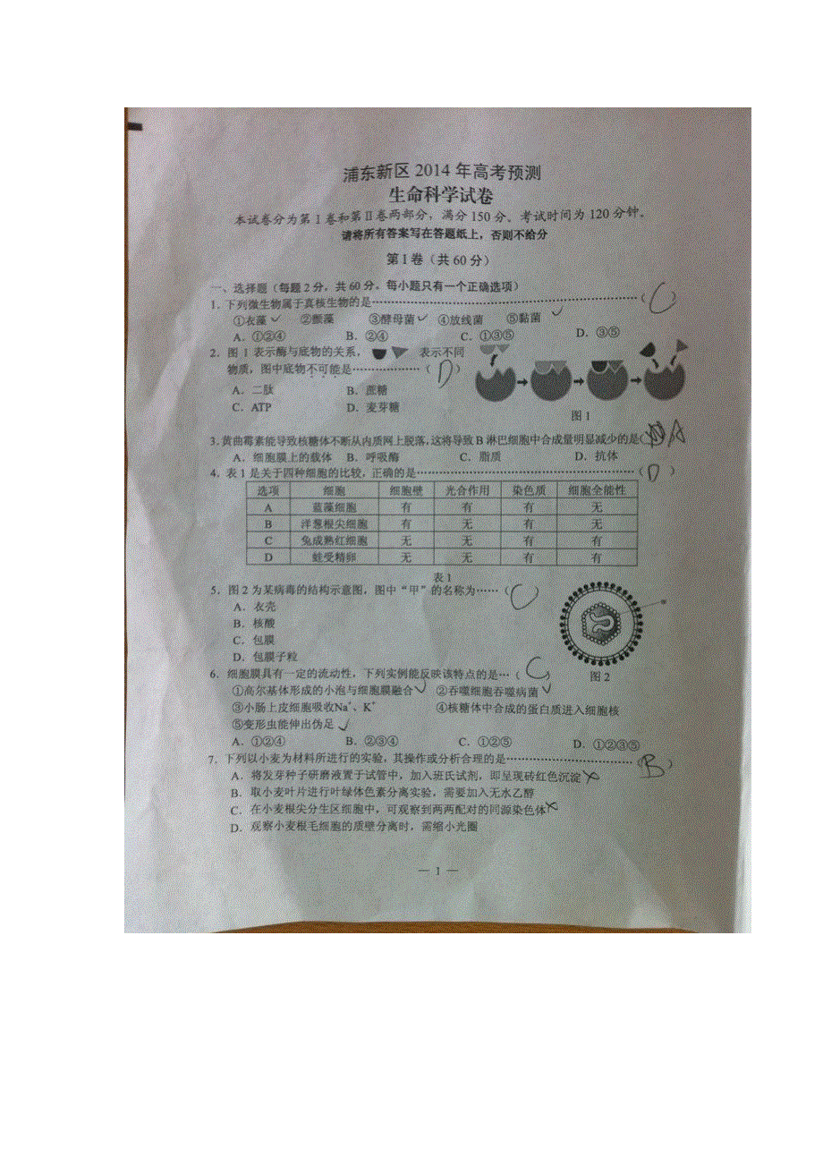 《2014浦东新区二模》上海市浦东新区2014届高三下学期4月二模考试生物试题 扫描版无答案.doc_第1页