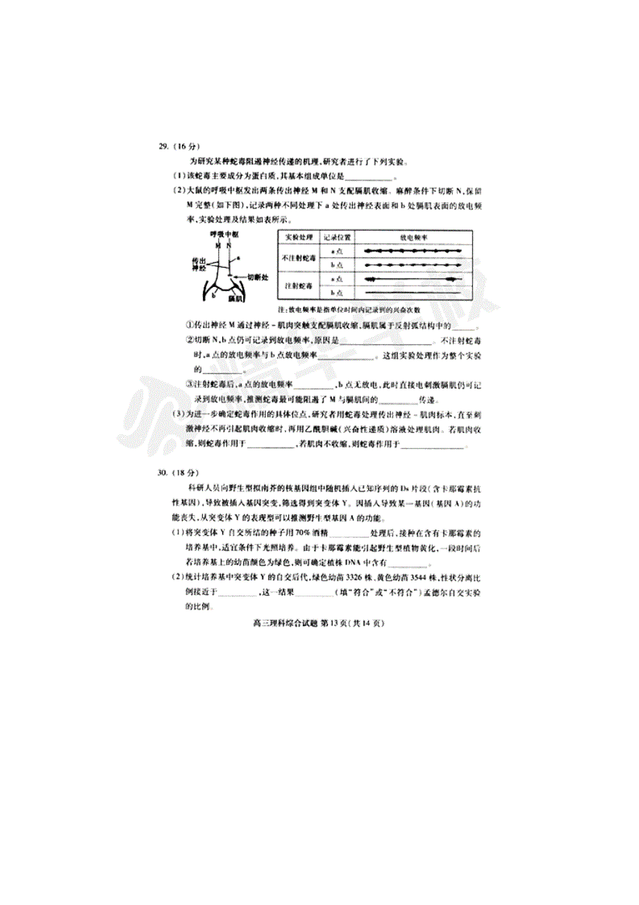 《2014海淀一模》北京市海淀区2014届高三下学期期中练习 理综生物 扫描版含答案.doc_第3页