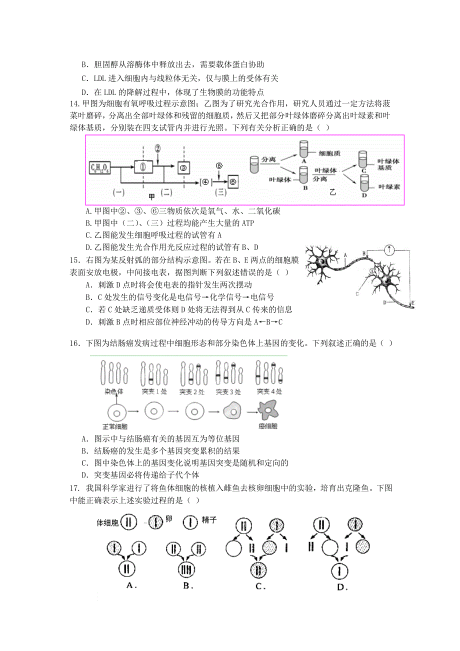 《2013上海徐汇、松江、金山二模》上海市徐汇、松江、金山区2013届高三下学期二模生物试题 WORD版含答案.doc_第3页