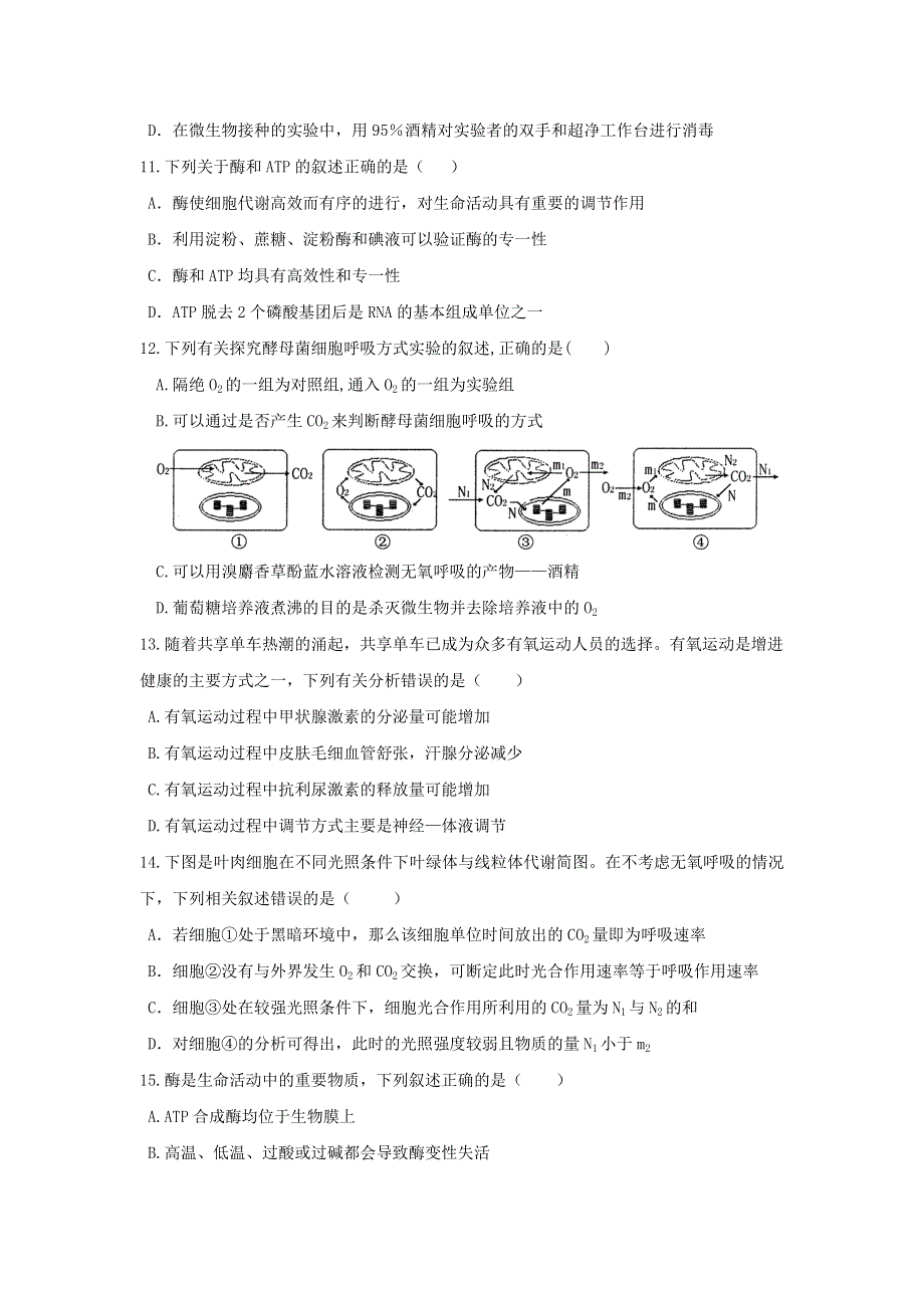 云南民族大学附属中学2019届高三上学期期中考试生物试题 WORD版含答案.doc_第3页