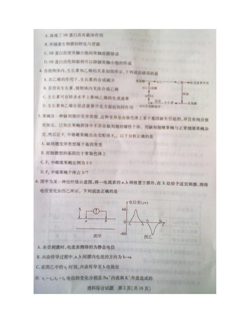 《2013德州二模》山东省德州市2013届高三第二次模拟考试 理科综合 图片版含答案.doc_第2页