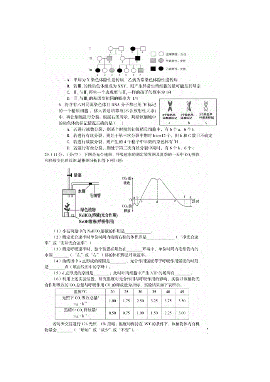 四川省巴中市高中2017届高三10月零诊考试生物试题 扫描版含答案.doc_第2页