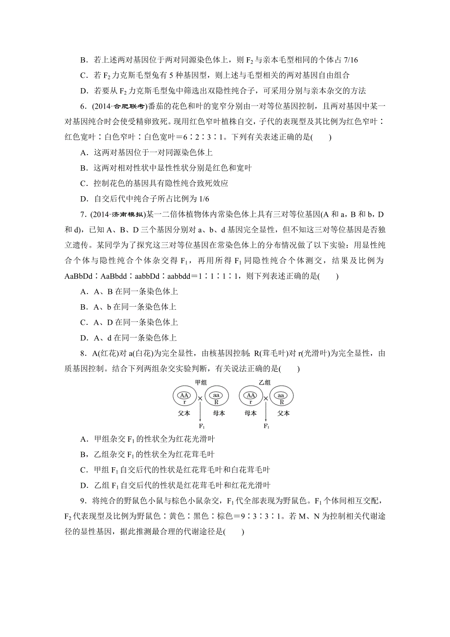 《2015三维设计》高考生物（安徽专用） 课时跟踪检测(十五)　孟德尔的豌豆杂交实验(二) WORD版含答案.doc_第2页