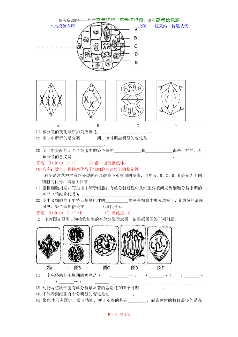 2006年高一生物细胞增殖综合练习题.doc_第3页