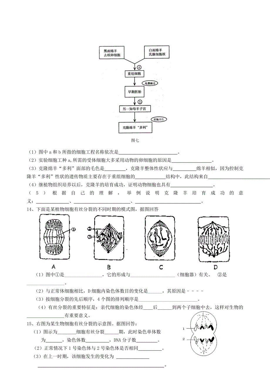 2006高考生物备考试题-细胞的生命历程 .doc_第2页