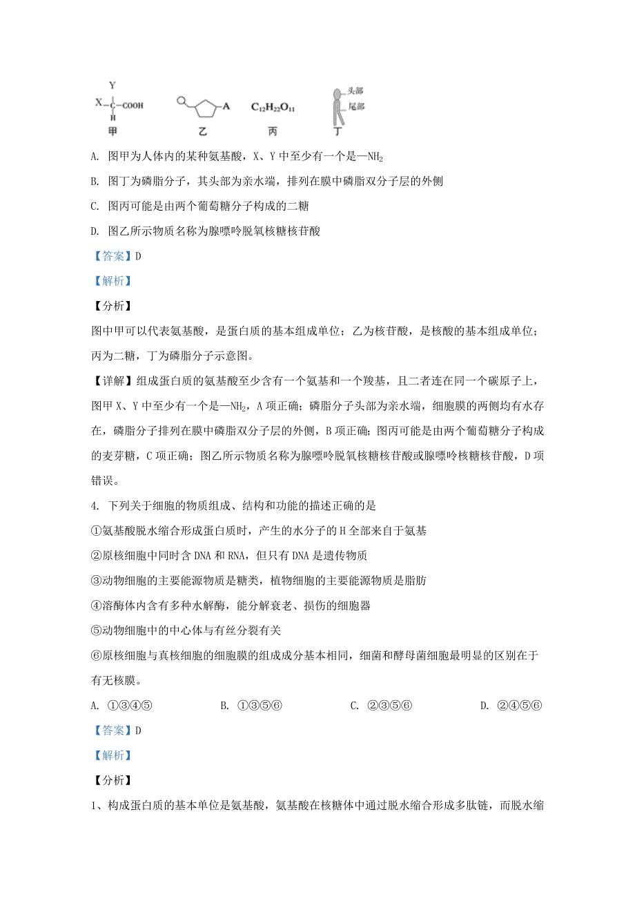 陕西省商洛市洛南中学2021届高三生物上学期第一次模拟试题（含解析）.doc_第2页