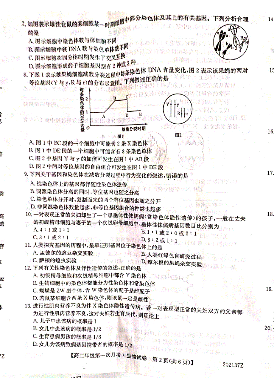 安徽省天长市关塘中学2019-2020学年高二上学期第一次月考生物试题 PDF版缺答案.pdf_第2页