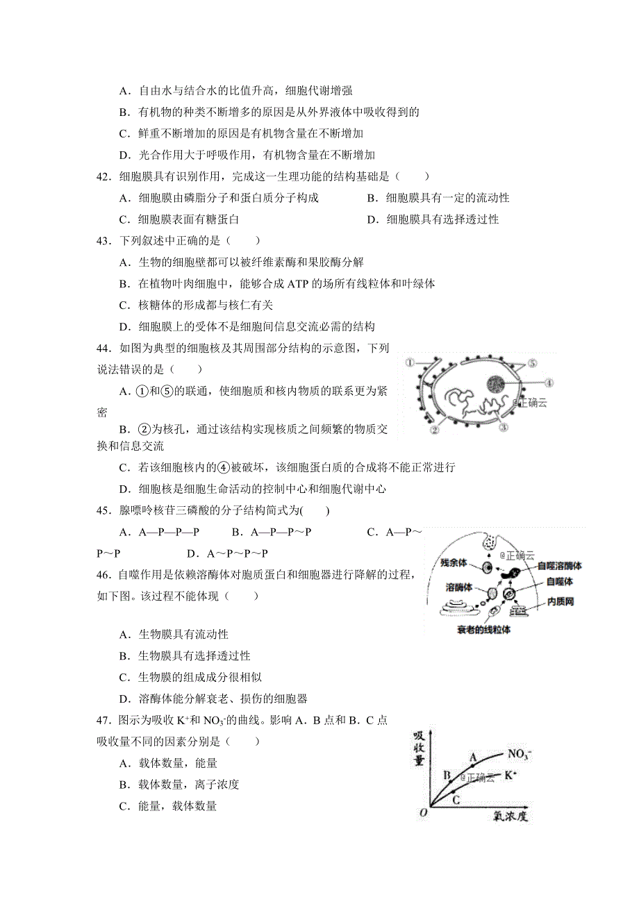 云南省会泽县一中2018-2019学年高一上学期12月月考生物试卷 WORD版含答案.doc_第2页