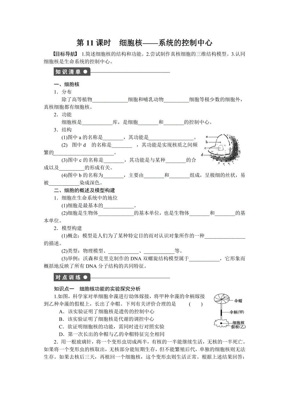 《创新设计-课堂讲义》2016-2017学年高一生物人教版必修一课时作业：第三章细胞的基本结构 课时11 WORD版含解析.docx_第1页