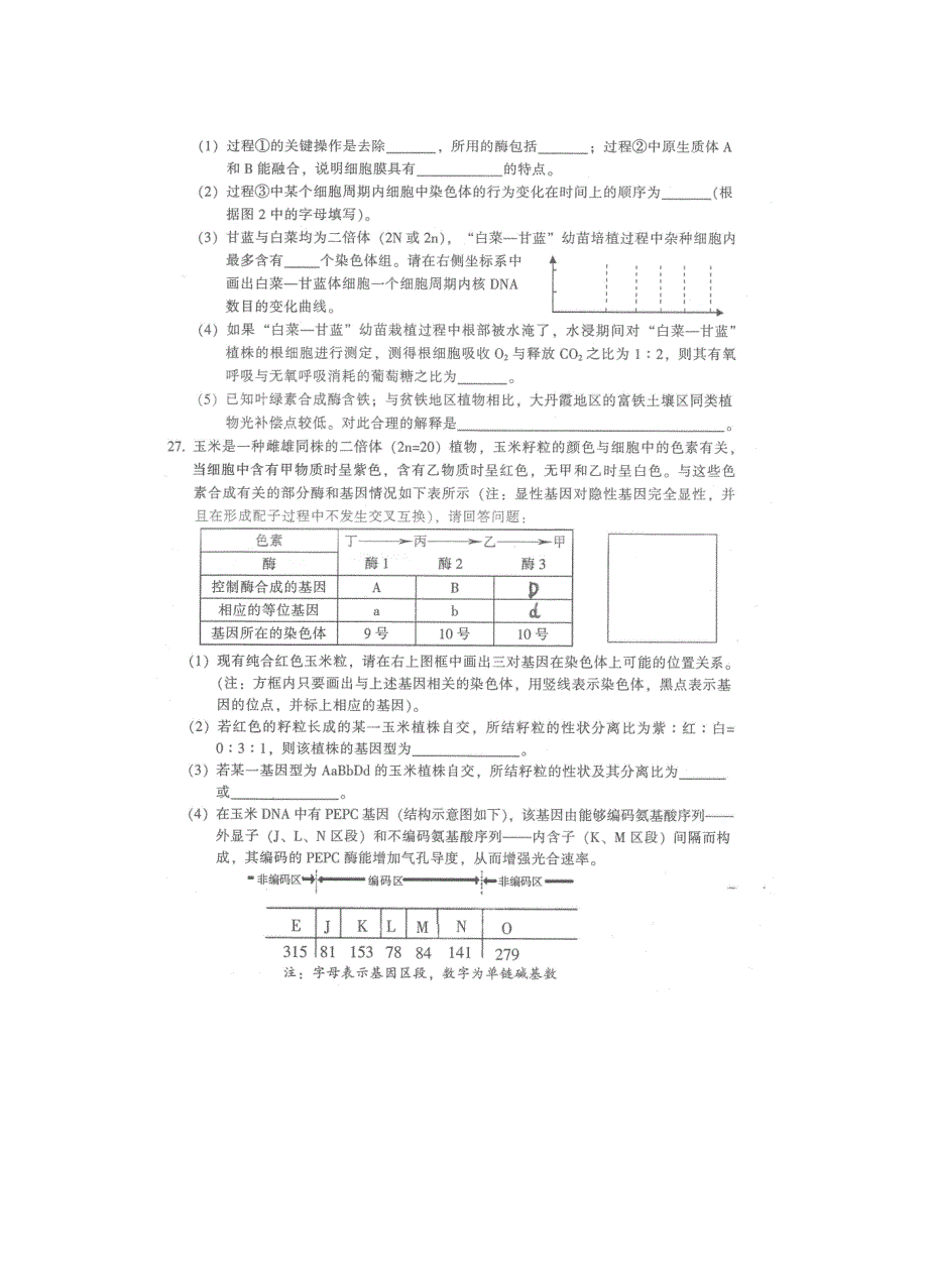 《2014韶关二模》广东省韶关市2014届高三第二次模拟考试生物试题 扫描版含答案.doc_第3页