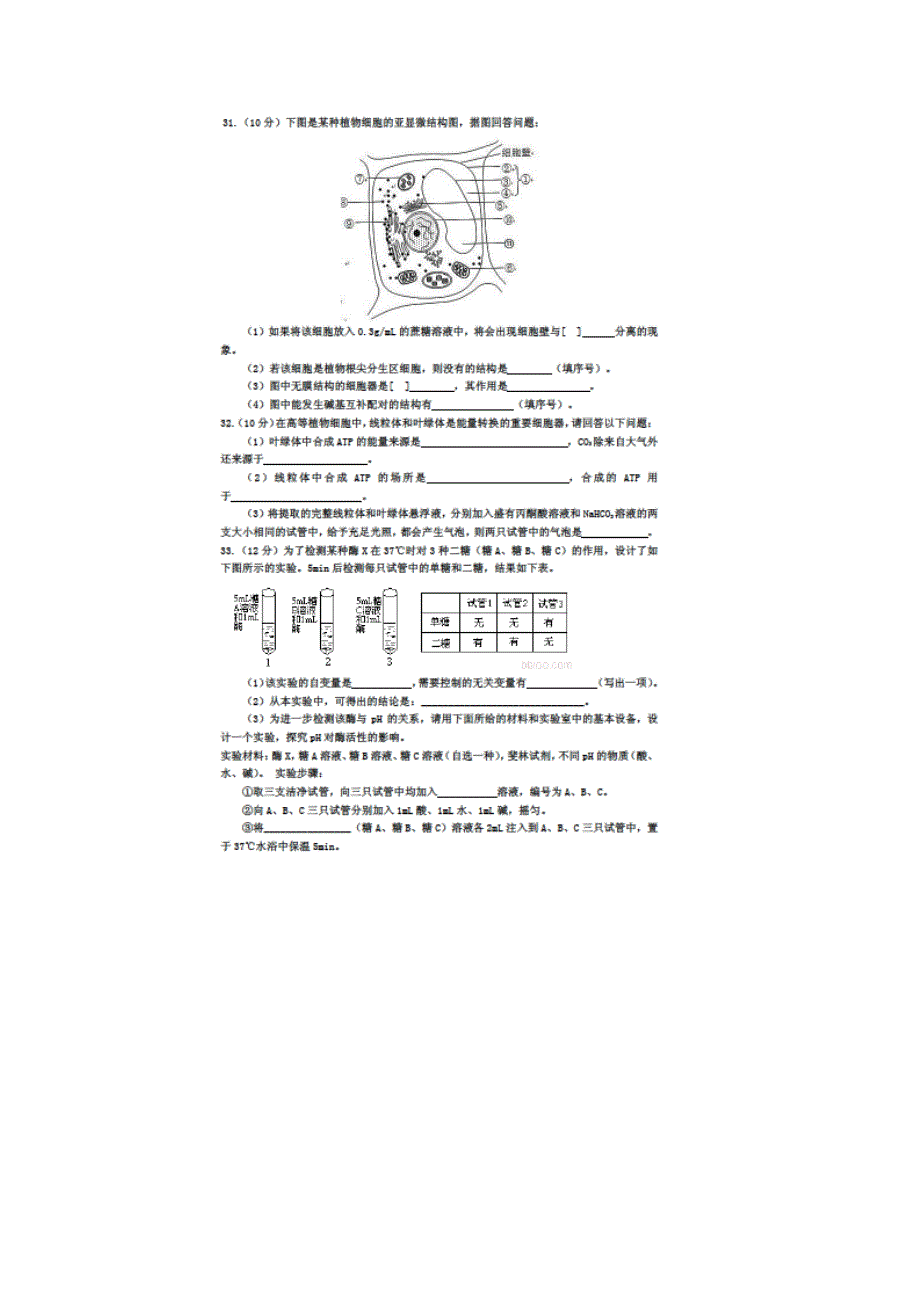 四川省巴中市四县2015-2016学年高二下学期期末联考（2017届高三开学）理科综合生物试题 扫描版无答案.doc_第2页