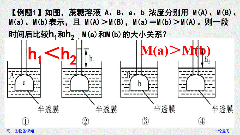 2023届高三生物一轮复习课件专题四 细胞的物质输入和输出.pptx_第3页