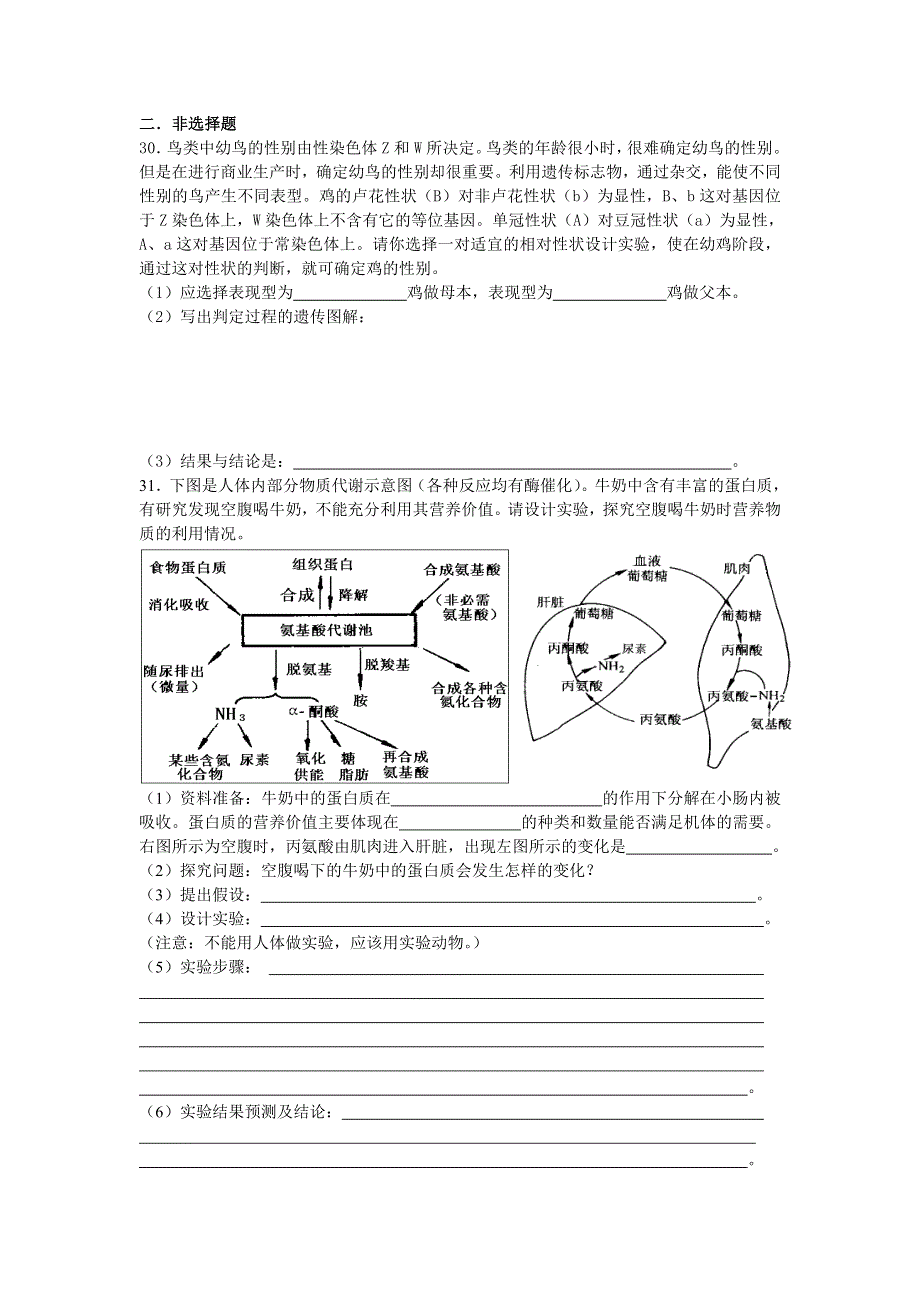 2007年江津中学高三二轮复习生物测试卷（十）.doc_第2页