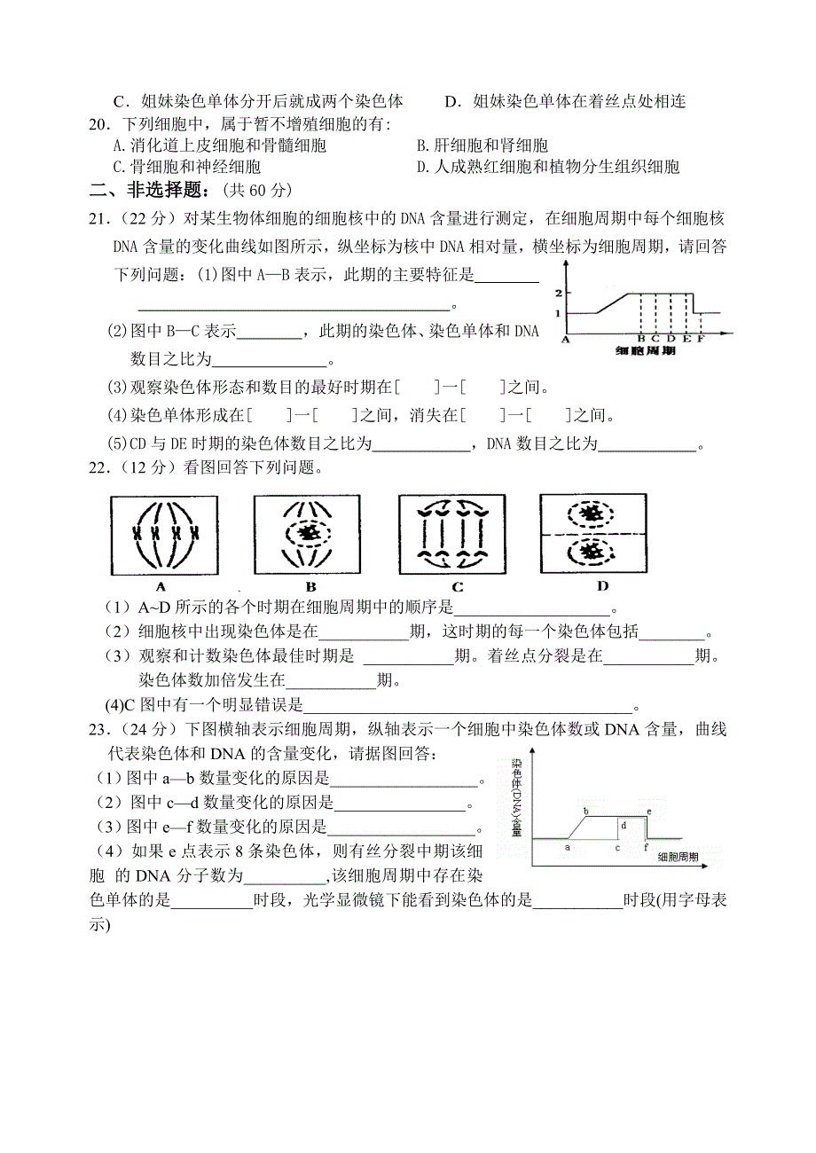 同步训练（4）细胞的增殖.doc_第3页