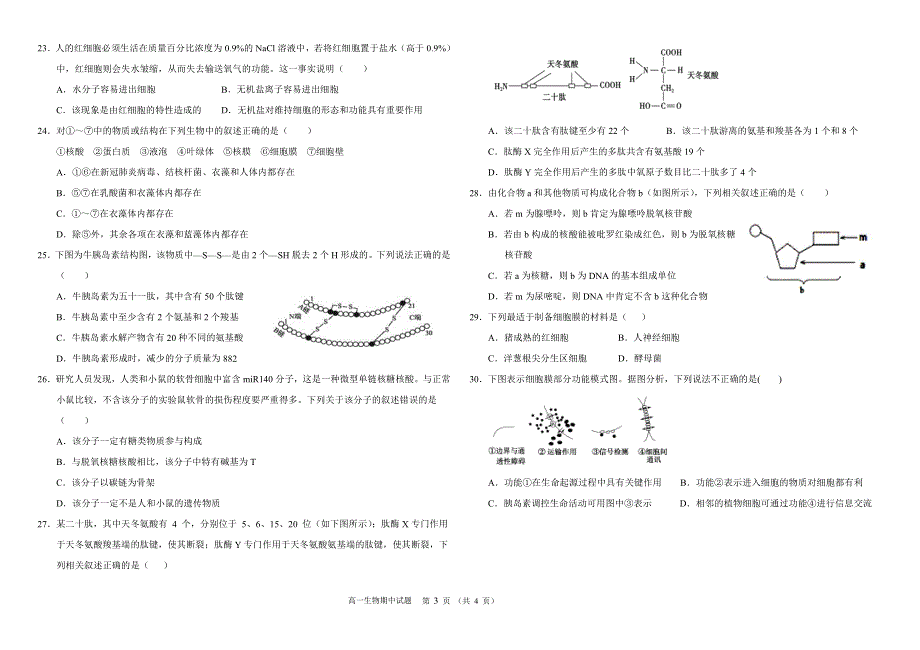 河南省宏力学校2020-2021学年高一上学期期中考试生物试题 WORD版缺答案.pdf_第3页