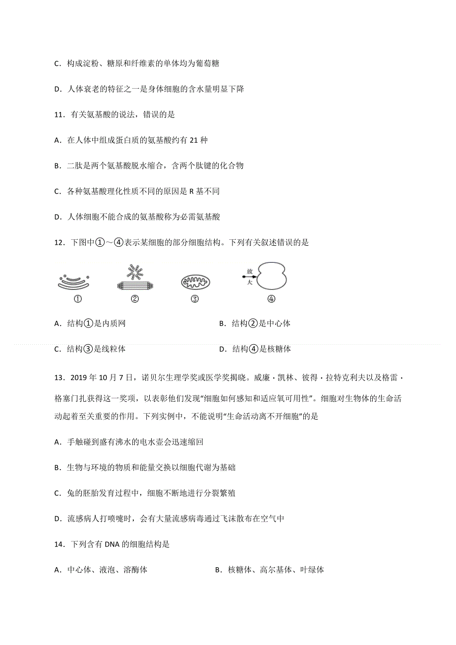 云南省昆明师范专科学校附属中学2020-2021学年高一上学期期中考试生物试题 WORD版含答案.docx_第3页