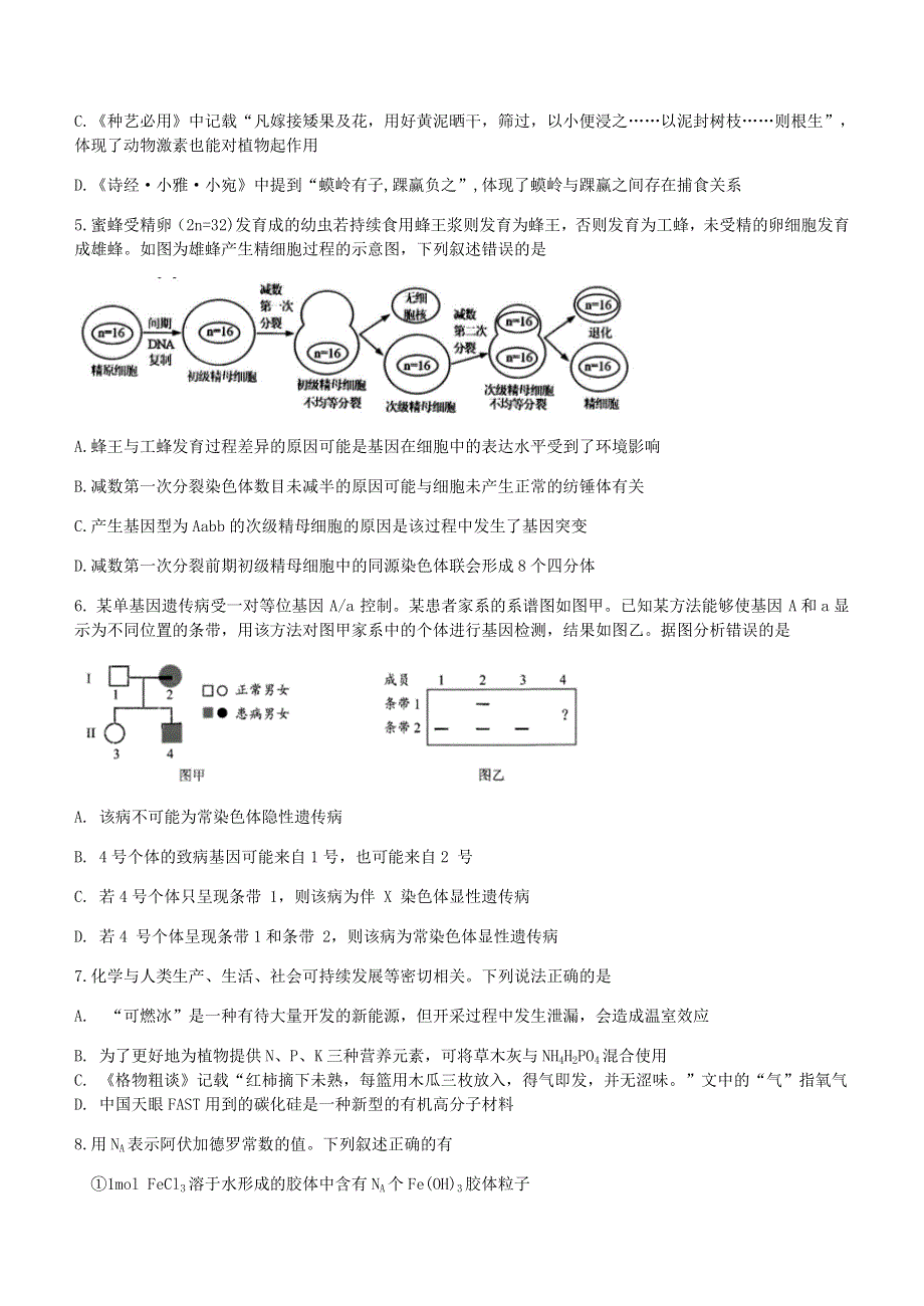 四川省内江市第六中学2021届高三理综下学期第七次月考试题.doc_第2页