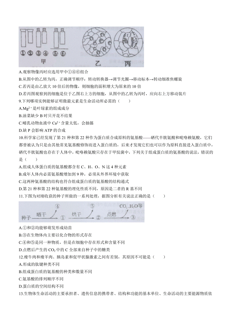 四川省内江市资中县第二中学2022-2023学年高一上学期10月考生物试题 WORD版含答案.doc_第2页