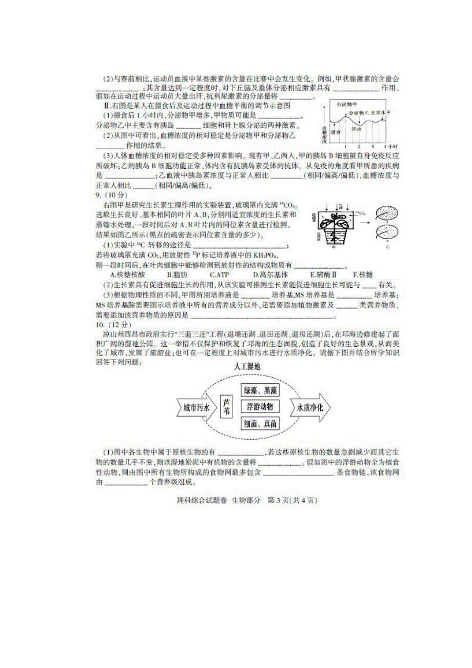 四川省凉山州2013届高三第三次诊断性测试生物试题 扫描版含答案.doc_第3页