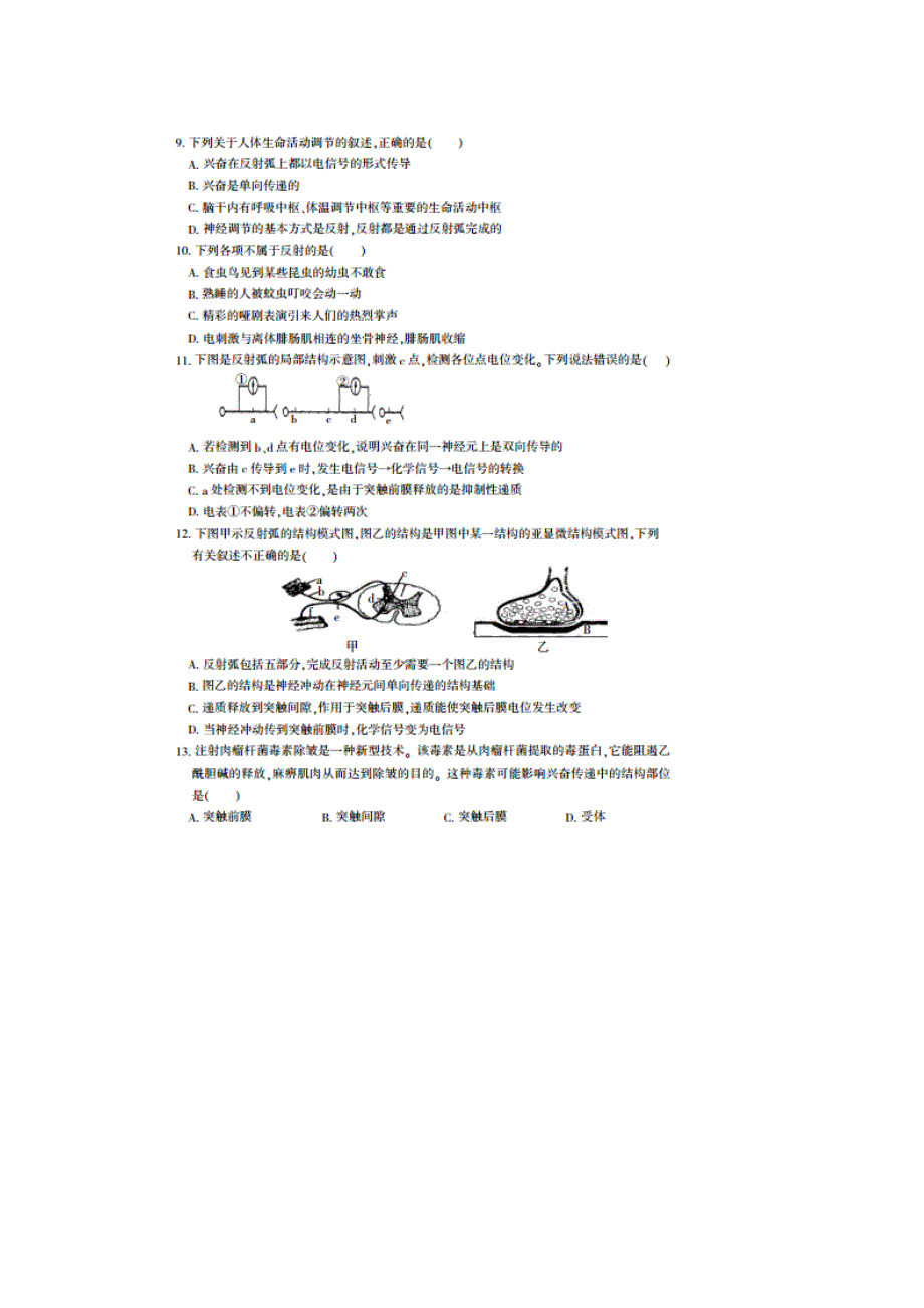 四川省凉山州2014-2015学年高二上学期期末统一检测生物试题（扫描版）.doc_第3页