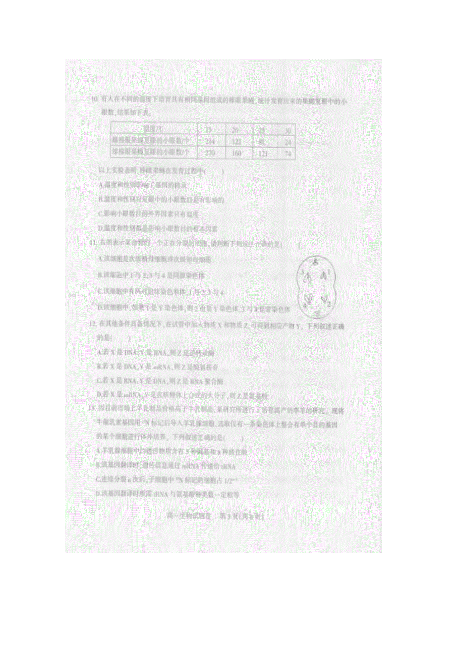 四川省凉山州2014-2015学年高一下学期期末考试生物试题 扫描版无答案.doc_第3页