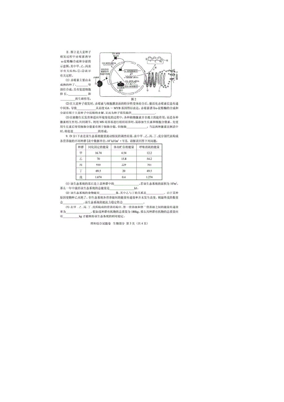 四川省凉山州2013届高三第二次诊断性测试生物试题 扫描版含答案.doc_第3页