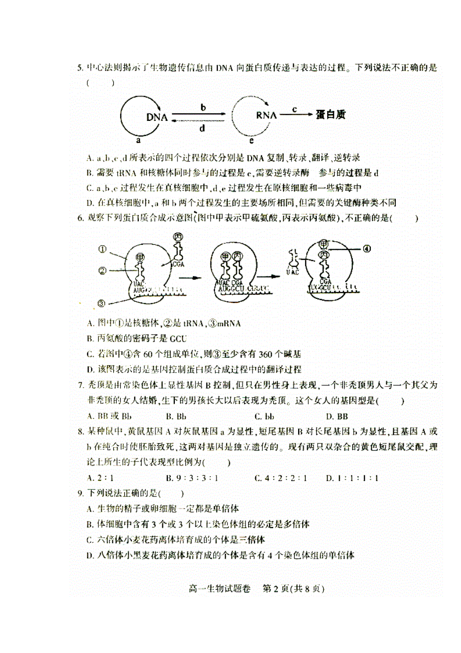 四川省凉山州2015-2016学年高一下学期期末考试生物试题 扫描版缺答案.doc_第2页