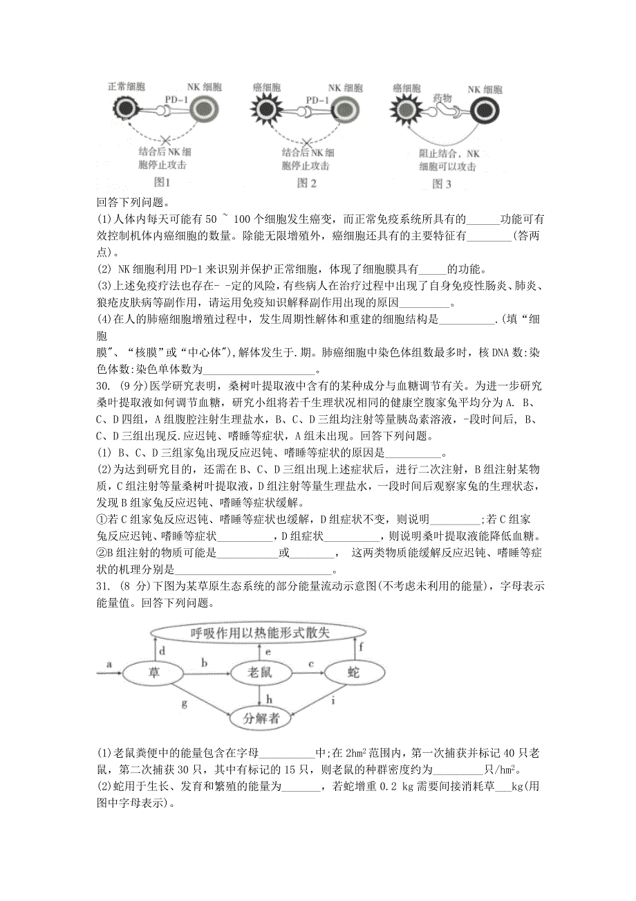 云南省昆明市第一中学2021届高三生物上学期第四次一轮复习检测试题.doc_第2页