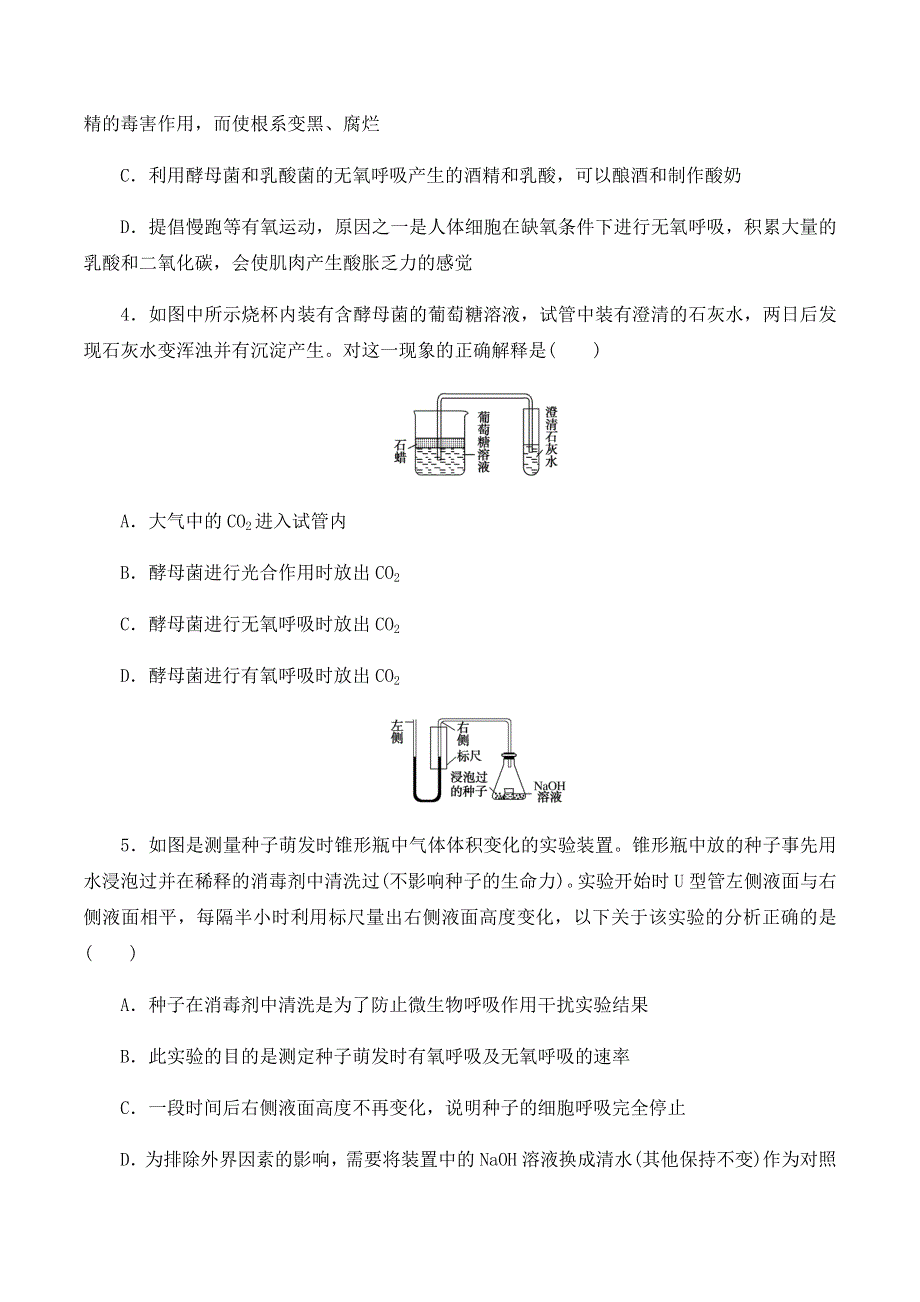 2020-2021学年北师大版（2019）高中生物必修一精品学案：第三章第一节 细胞呼吸的类型 WORD版含解析.docx_第3页