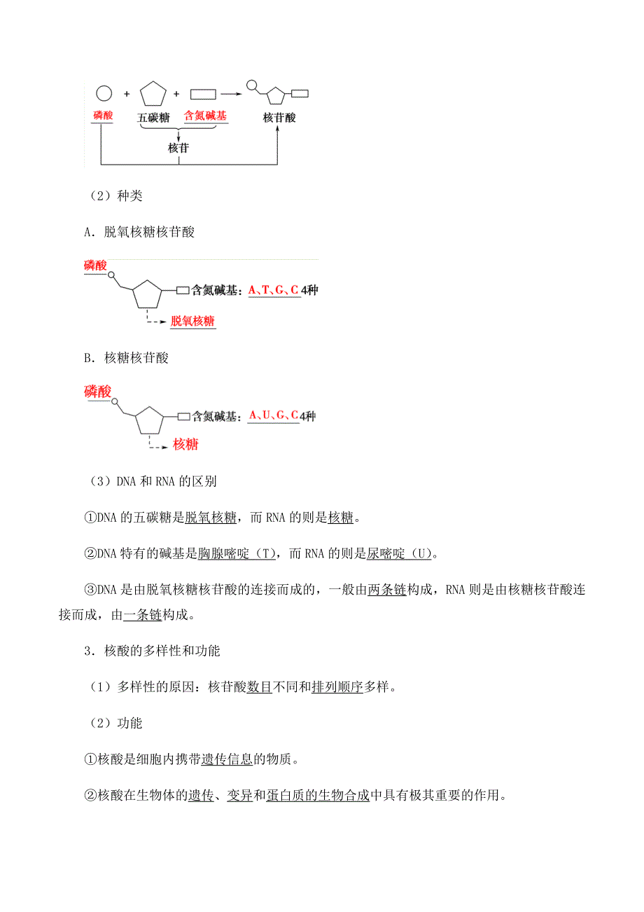 2020-2021学年北师大版（2019）高中生物必修一精品学案：第三章第四节 核酸 WORD版含解析.docx_第2页