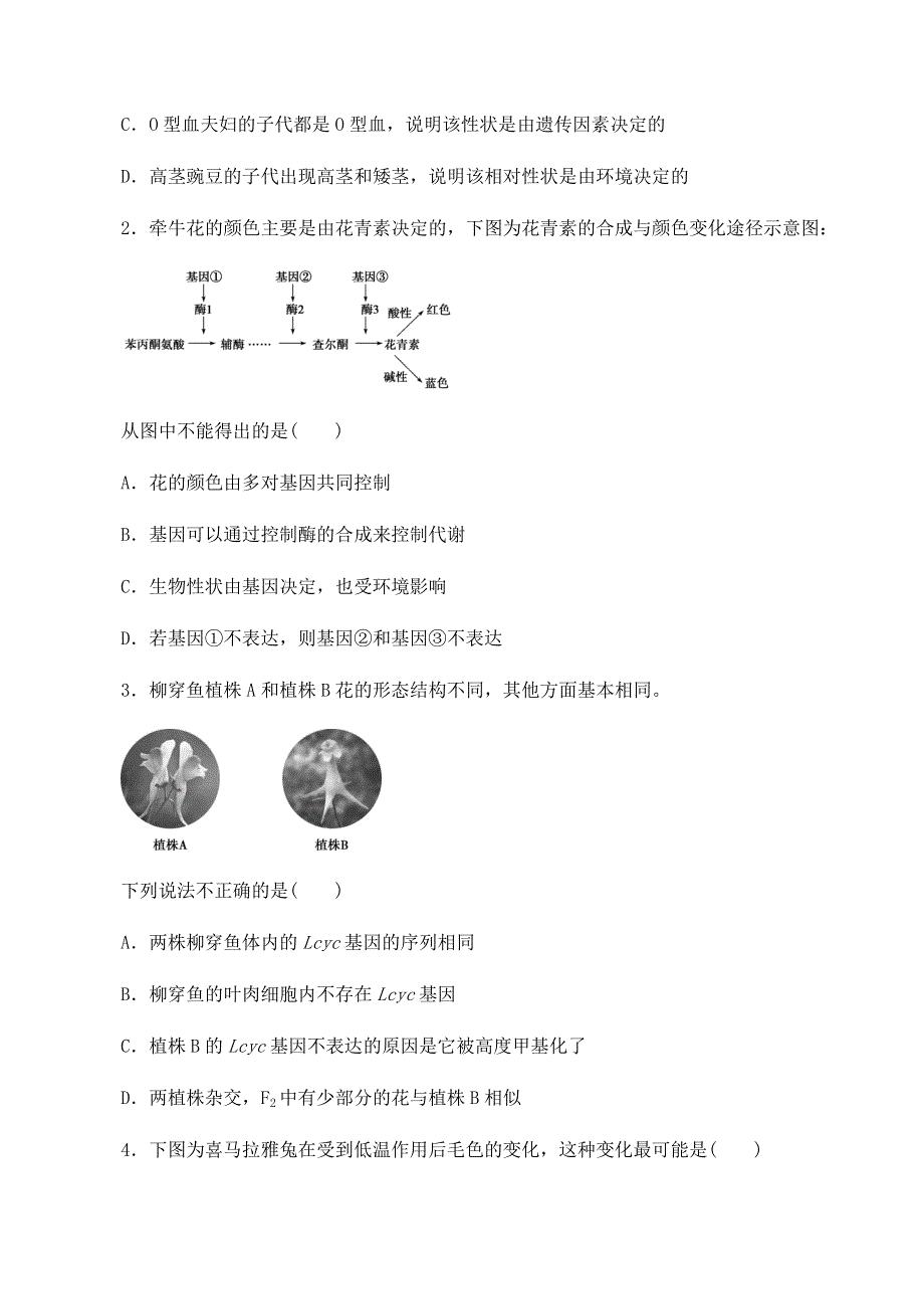 2020-2021学年北师大版（2019）高中生物必修二精品学案：第二章第三节 基因的选择性表达及表观遗传现象 WORD版含解析.docx_第3页