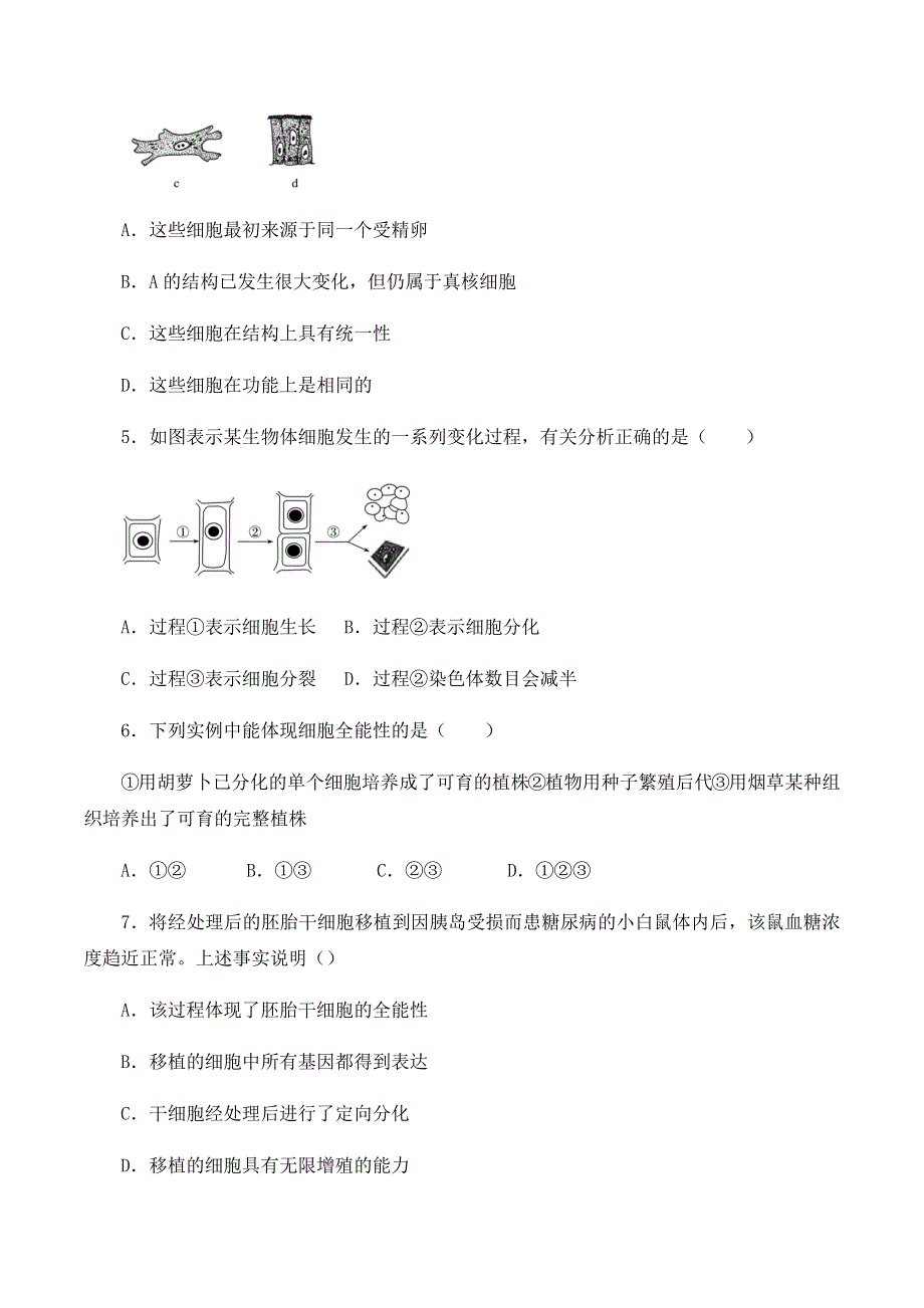 2020-2021学年北师大版（2019）高中生物必修一精品学案：第五章第二节 细胞的分化 WORD版含解析.docx_第3页