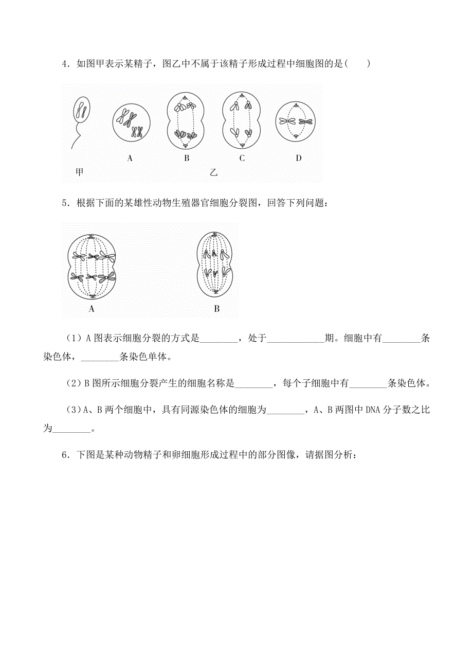 2020-2021学年北师大版（2019）高中生物必修二精品学案：第三章第二节 第三章第二节 减数分裂与配子形成 WORD版含解析.docx_第3页