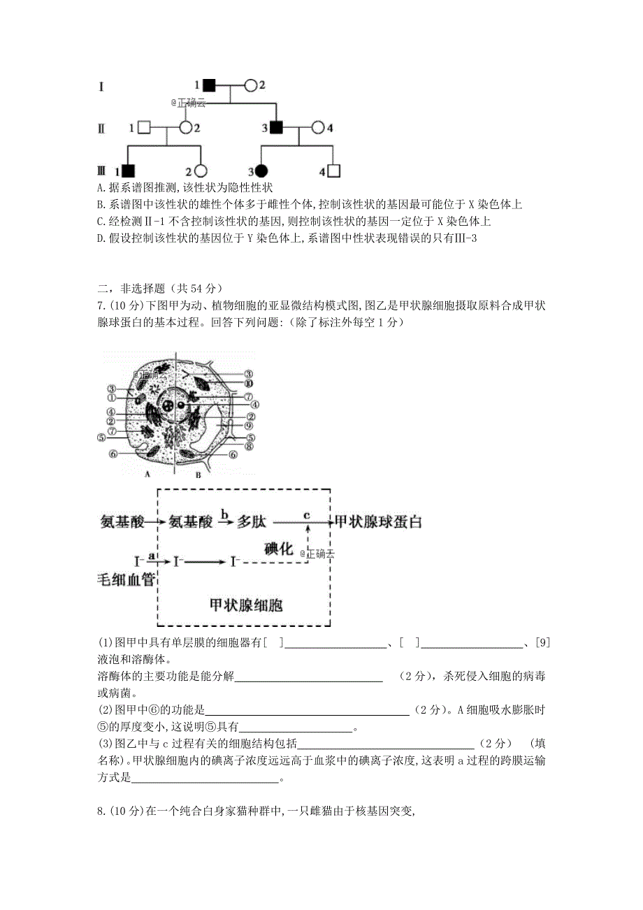 四川省凉山州2020届高三生物上学期第四次周考试题.doc_第2页