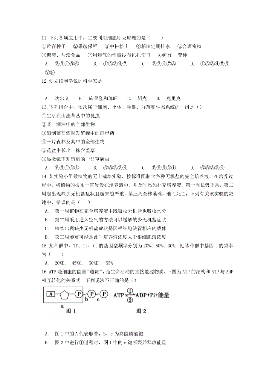 云南省普洱市景东彝族自治县第一中学2020-2021学年高一生物下学期期末质量检测试题.doc_第3页