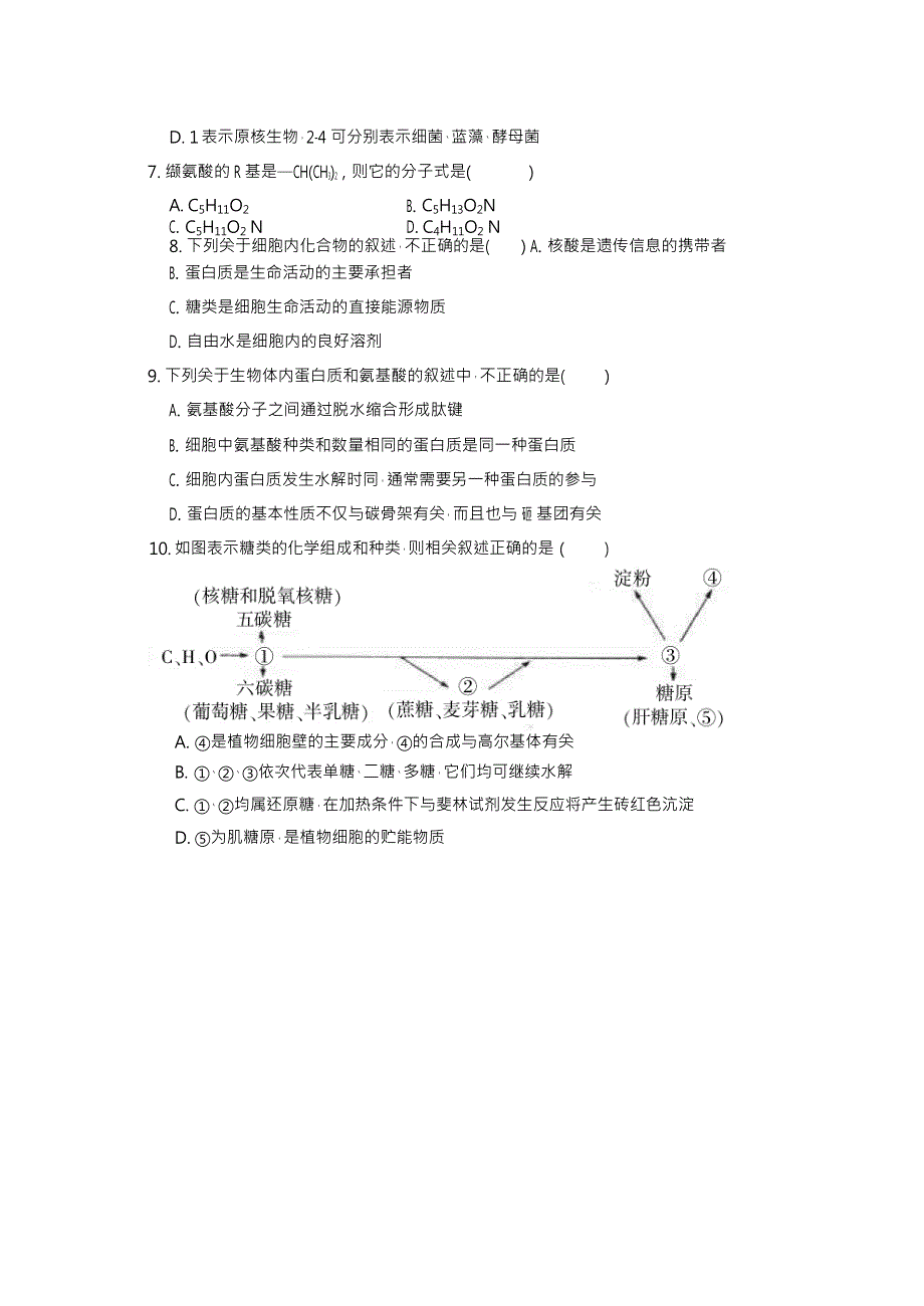 四川省凉山州北大金阳附属实验学校2019-2020学年高一上学期期末考试生物试题 WORD版含答案.doc_第2页