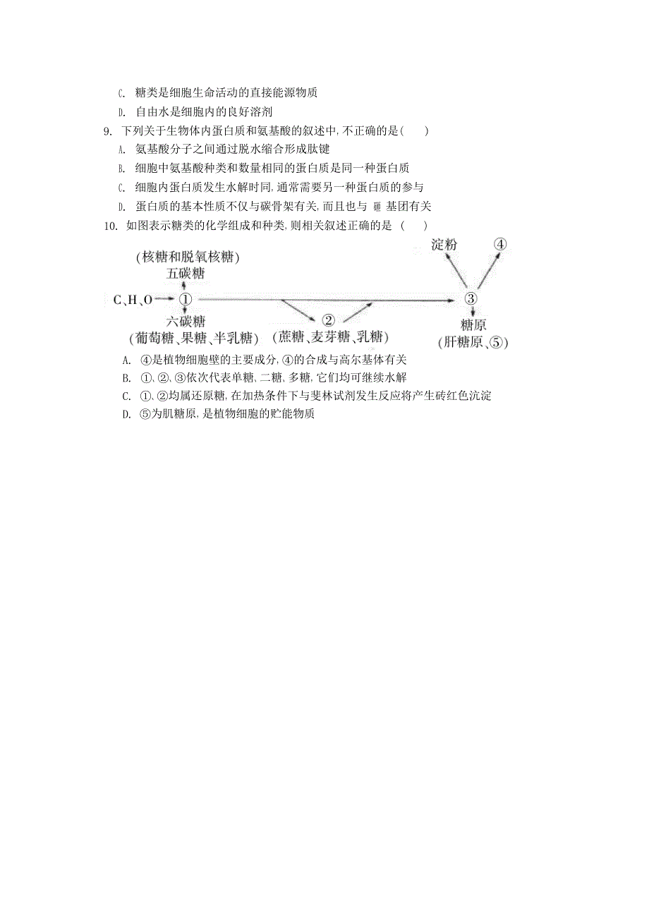 四川省凉山州北大金阳附属实验学校2019-2020学年高一生物上学期期末考试试题.doc_第2页