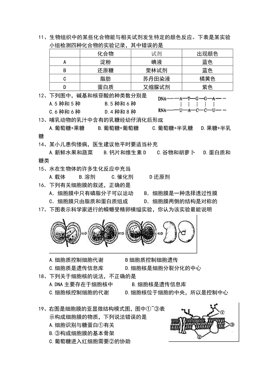 云南省普洱市景谷一中2012-2013学年高一上学期期末检测生物试题 WORD版无答案.doc_第2页