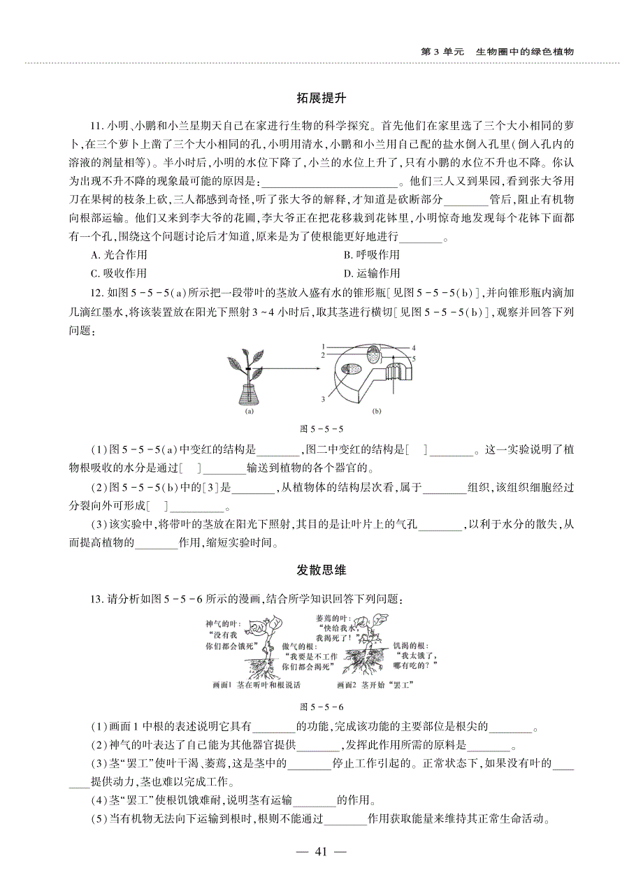 七年级生物上册 第三单元 生物圈中的绿色植物 第5章 绿色开花植物的生活方式 第5节 运输作用同步作业（pdf无答案）（新版）北师大版.pdf_第2页